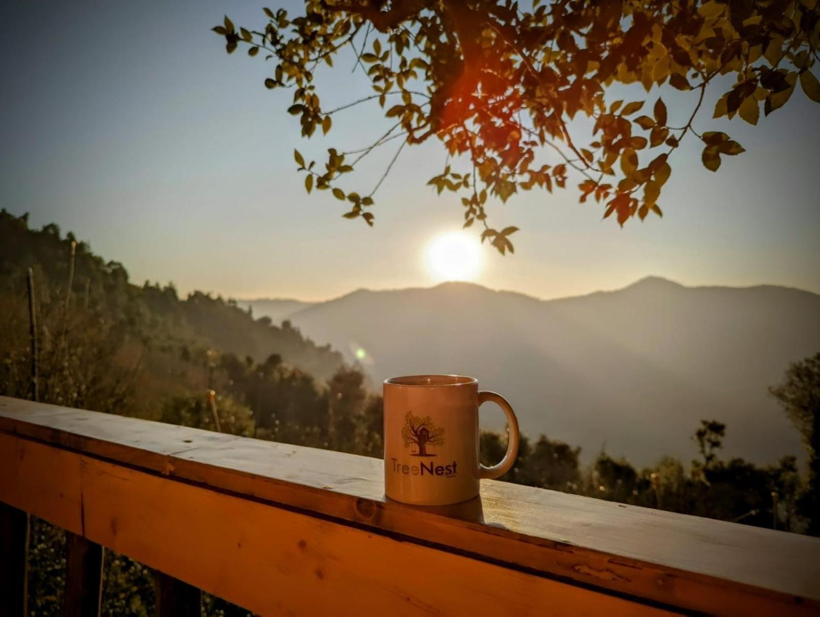 Tree Nest Resort By The Hfe Jubar Kültér fotó